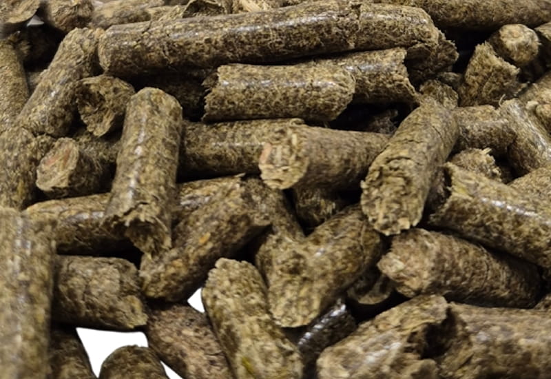 Products Coriander Waste Biomass Pellets Products Coriander Waste Biomass Pellets