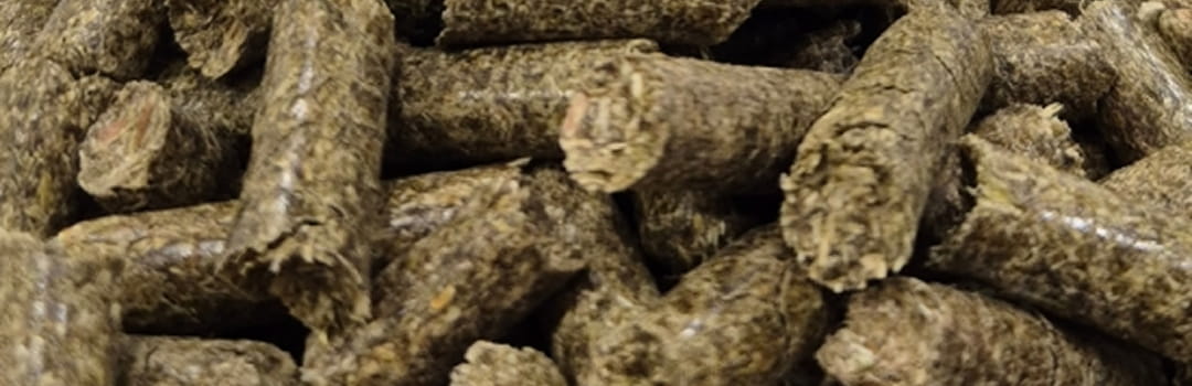 Products Coriander West Biomass Briquette Products Coriander West Biomass Briquette