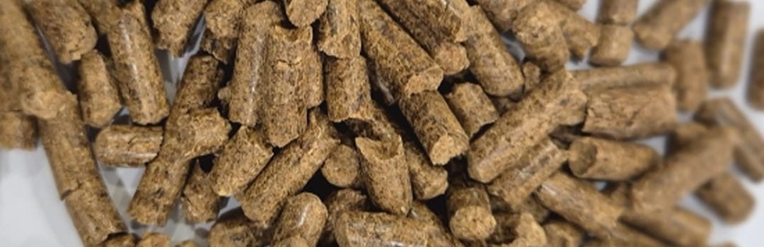 Products Groundnut Shell Biomass Pellets