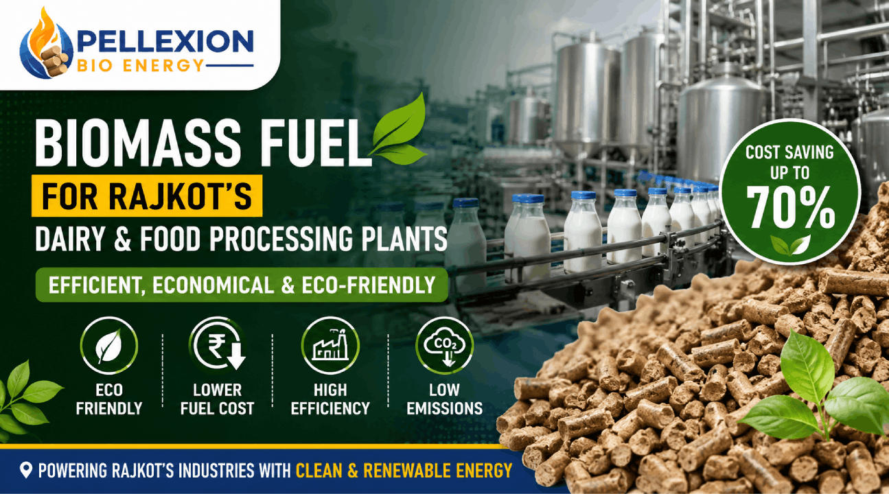 Biomass Fuel for Rajkot’s Dairy & Food Processing Plants: Efficient and Eco-Friendly