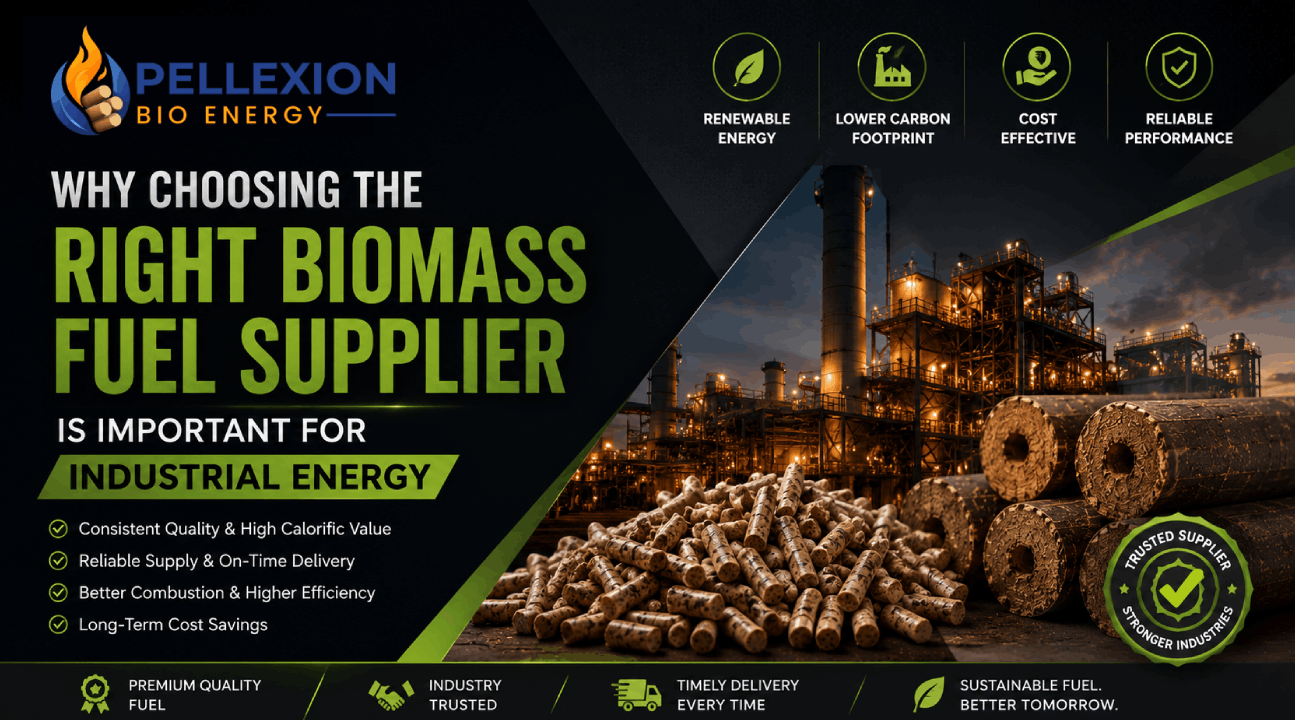 Why Choosing the Right Biomass Fuel Supplier is Important for Industrial Energy
