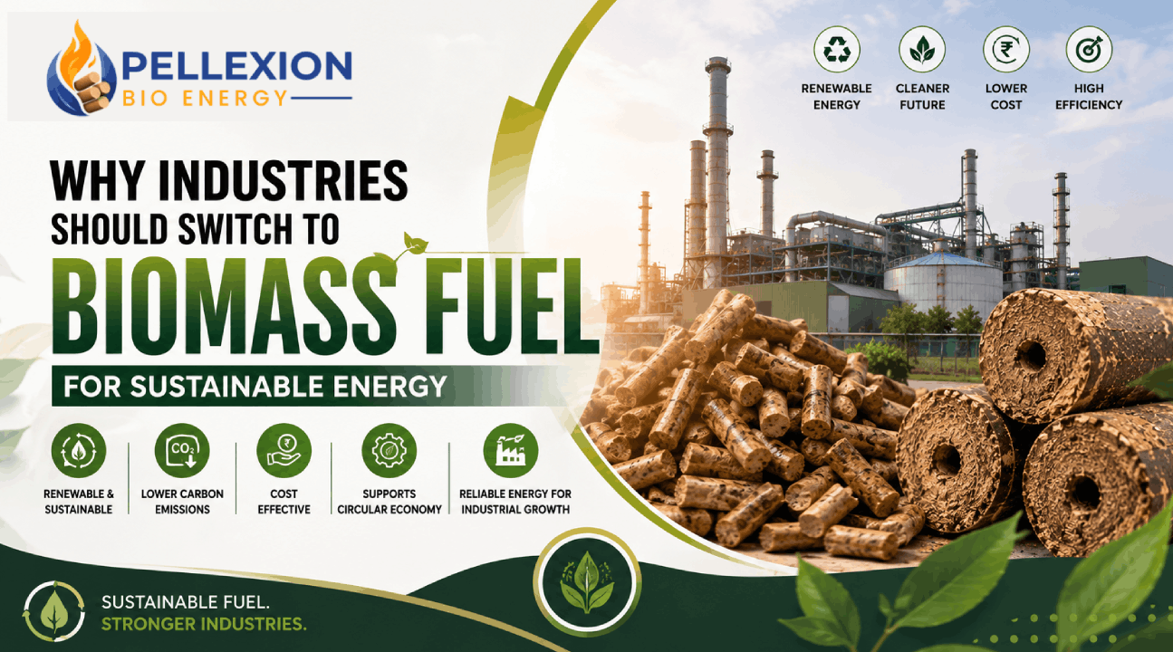 Why Industries Should Switch to Biomass Fuel for Sustainable Energy